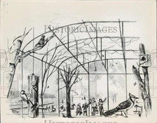 1967 Press Photo Illustration of Winter Aviary with Birds and Spectators