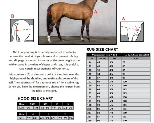 Horseware Amigo Hero Petite Plus Hood Miniature 600d Turnout Rug Med 200g 2'9-4' - 第 2/4 張圖片