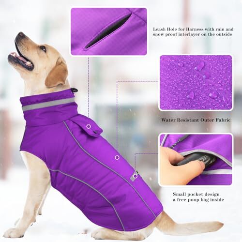 Dog Coats, Waterproof Dog Jacket with Pocket, Reflective XSmall Purple