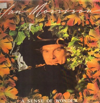 Van Morrison A Sense Of Wonder NEAR MINT Mercury Vinyl LP