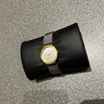 Skagen Ladies Watch - Main Image