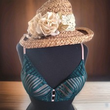 Victoria Secret Plunge Lined Underwired Striped Lace Bra 32D Teal Pink Coquette