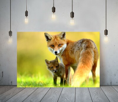 KLEINER FUCHS 2 - TIEF GERAHMTES LEINWANDBILD WANDBILD BILD DRUCK - TIER ORANGE GRÜN