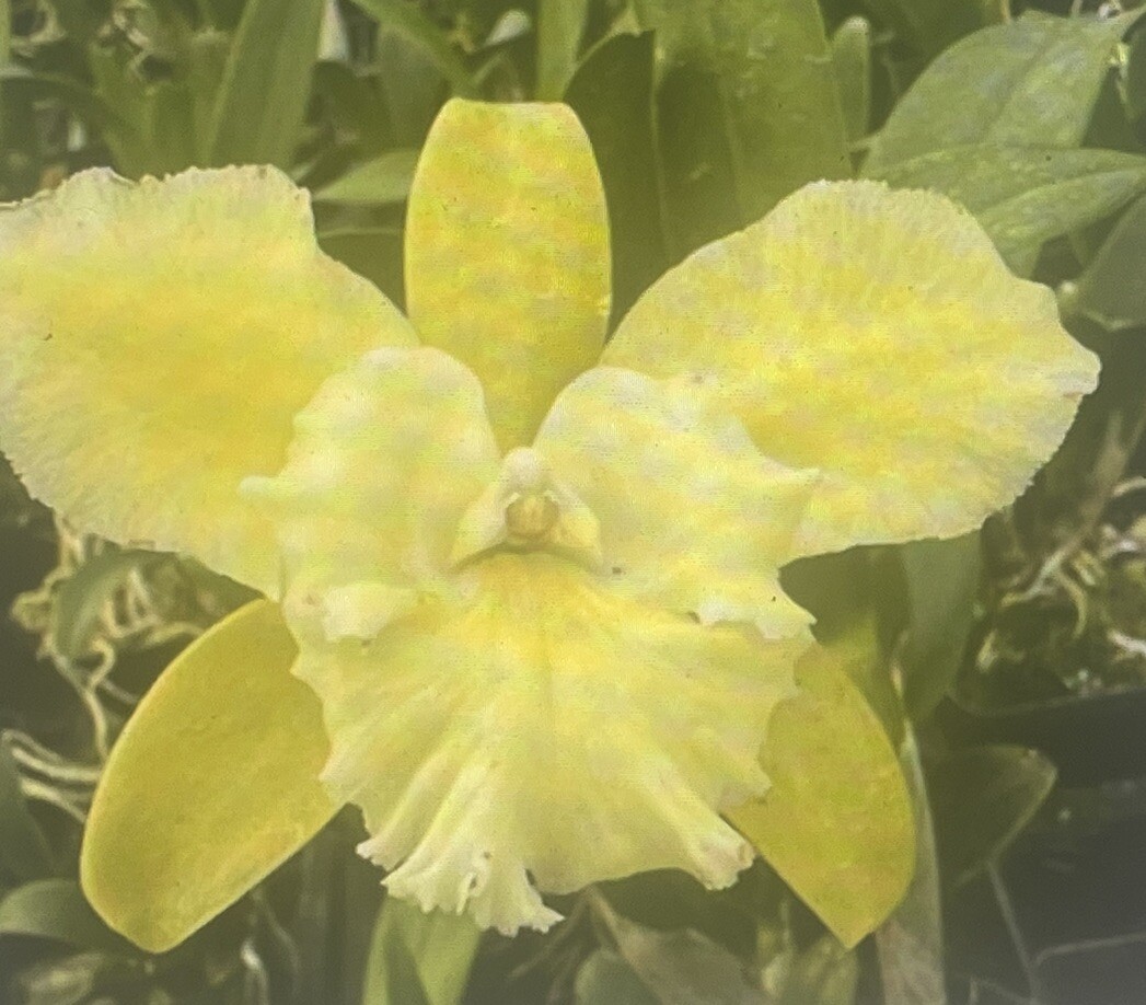 Picture 7 of 10