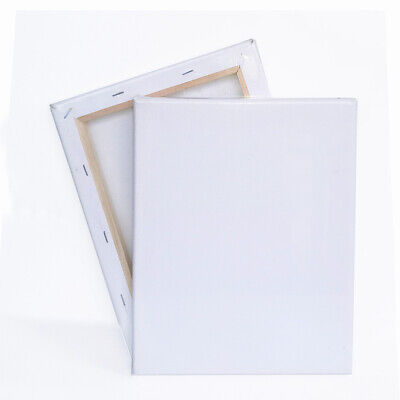 Blank Artist Canvas Art Board Plain Painting Stretched Framed White Large  Small  eBay