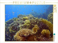 Calvendo Puzzle Flagfish In The Reef | 1000 Pieces, Finished Size 25.2 × 18.9 In