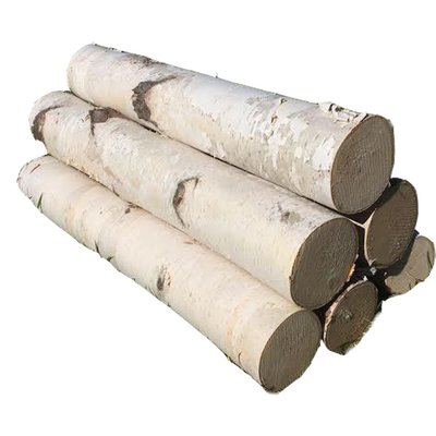 White Birch Log Set For Fireplace 18 Ebay