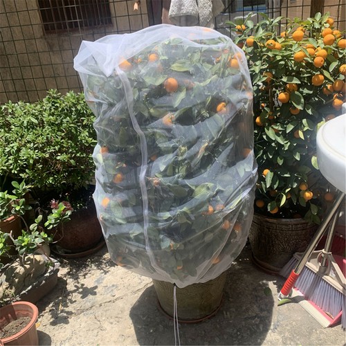 Fruit Fly Net Insect mesh Vegetable Garden Plant Crop Protection Cover Bags AU - Picture 3 of 15