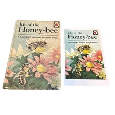 Vintage Ladybird Book, Life of the Honey-Bee Plus Collectable Postcard