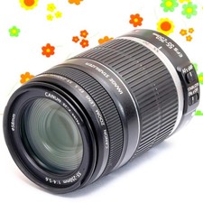Item: Canon EF-S 55-250 IS Telephoto Lens