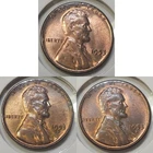 Lot of (3) Lincoln Wheat Cents: 1953 PDS - Year Set - UNC✨️