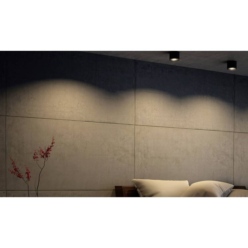 Plafonnier LED noir Philips Phase avec spot orientable en saillie 4.5W