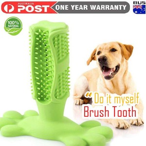 tooth brushing dog toy