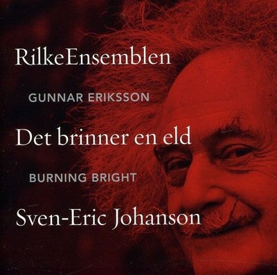SVEN-ERIC JOHANSON: BURNING BRIGHT NEW CD