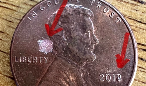 Photo of a 2018-P Lincoln Shield Cent from an eBay listing that sold on Jul 22, 2026