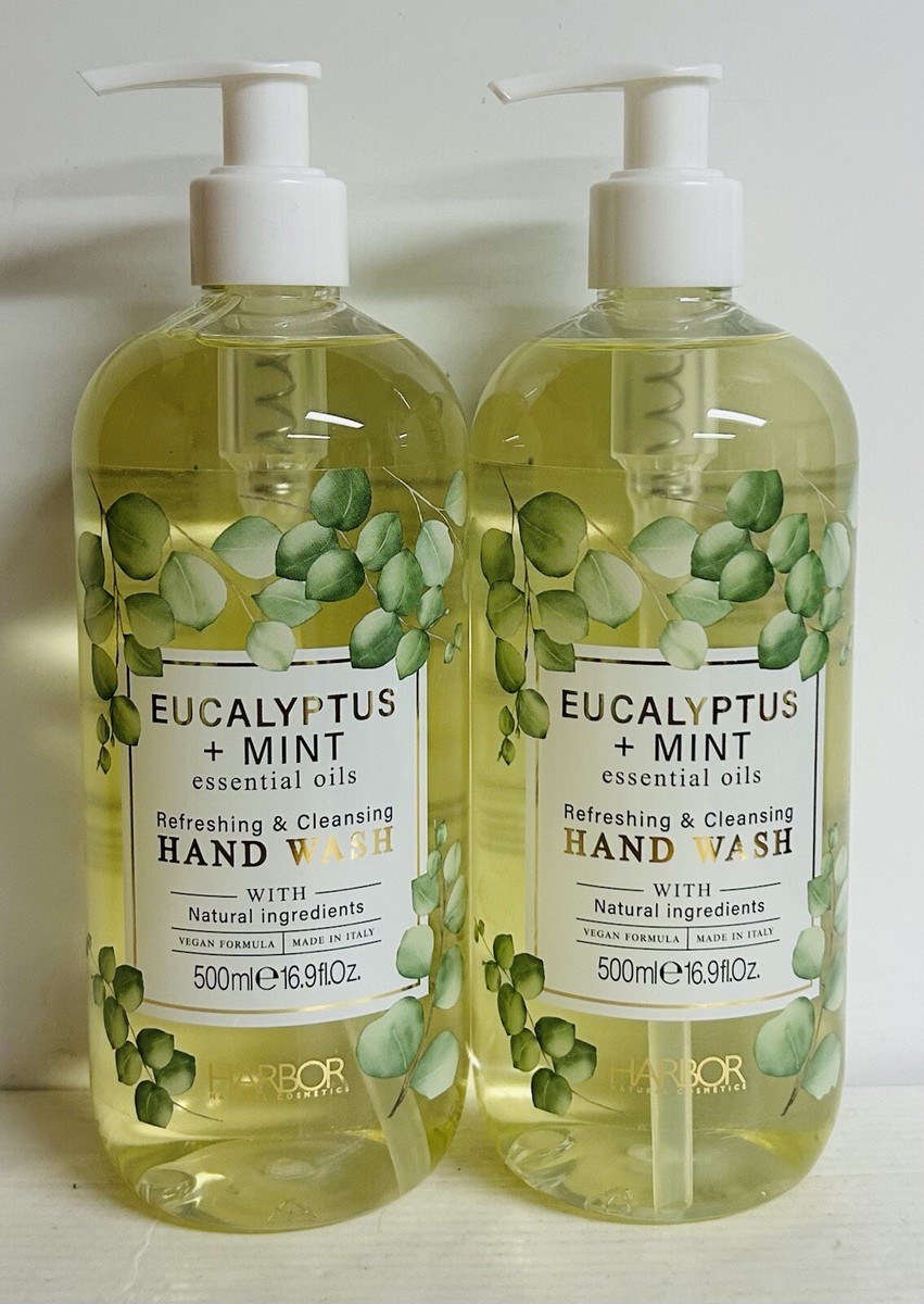 Essential Oils Eucalyptus Mint Hand Soap Bath And Body Works