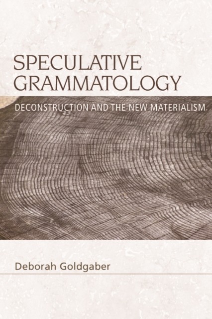 Speculative Grammatology by Deborah Goldgaber PAPERBACK - Image 2
