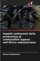 Monica Maduekwe | Impatti Ambientali Della Produzione Di Combustibili Legnosi...