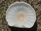 Vtg Italian Murano Barbini White Silver Gold Art Glass Bowl Scalloped Edge 1960s