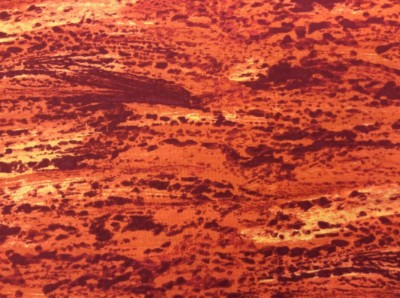 Makower - Braunbär von Eric Carle - Orange Textur Mixer - 100% Baumwollstoff