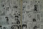 Bild 8 von 12