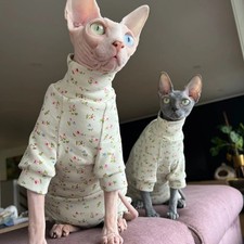 Warm Cotton Coat for Sphynx Cat Spring Soft Fabric Elestic Jumpsuit for Kittens