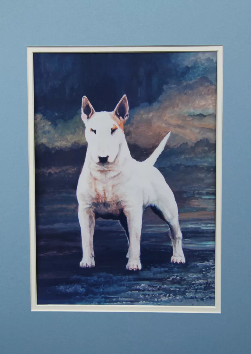 Bull Terrier Ch Aricon Chief Eye Shy signed print mounted Tony