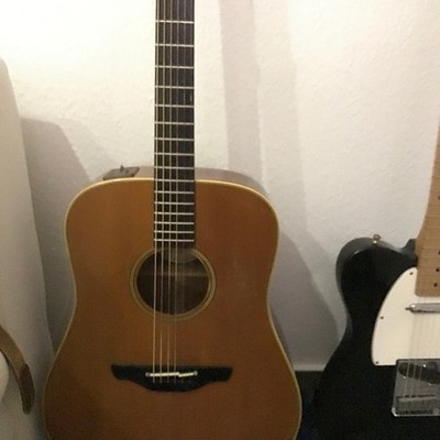 Takamine EN-10  mit Case