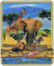 Africa - African Animals 8 x 10 Inch Lenticular 3-D Picture New Fantastic 3-D! 