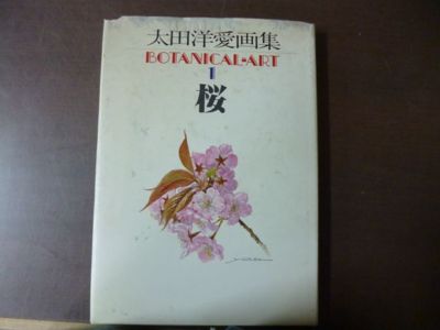 Yoai OHTA Art Botanical Art vol.1 Sakura Cherry Blossoms?@(1981) Japanese book
