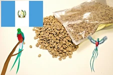 5 LBS GUATEMALAN QUETZAL BIRD FRESH UNROASTED GREEN COFFEE BEANS - ARABICA 