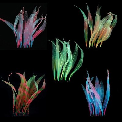 Simulation Kelp Colored Polyresin Sea Plant for Aquarium Fish for Tank Decoratio