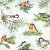 20 Servietten Charming Birds Green VöGel Tiere Zweige Baum Wald Winter 33X33Cm