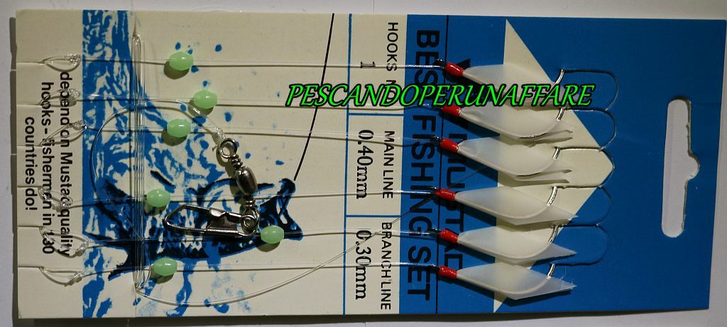 Bild 1 von 2