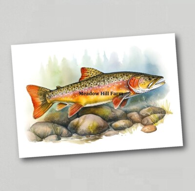 Fridge Magnet Brook Trout Fly Fishing Line Rod Game Rainbow