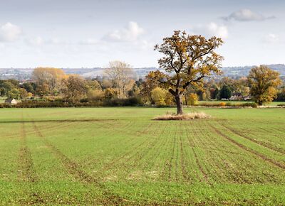 Photo 12x8 Autumn Fields Batsford View ESE from the footpath to Bourton-on c2015