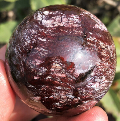 1.98''159g WOW! Natural Brown Pine Crane stone Sphere Ball ip1776