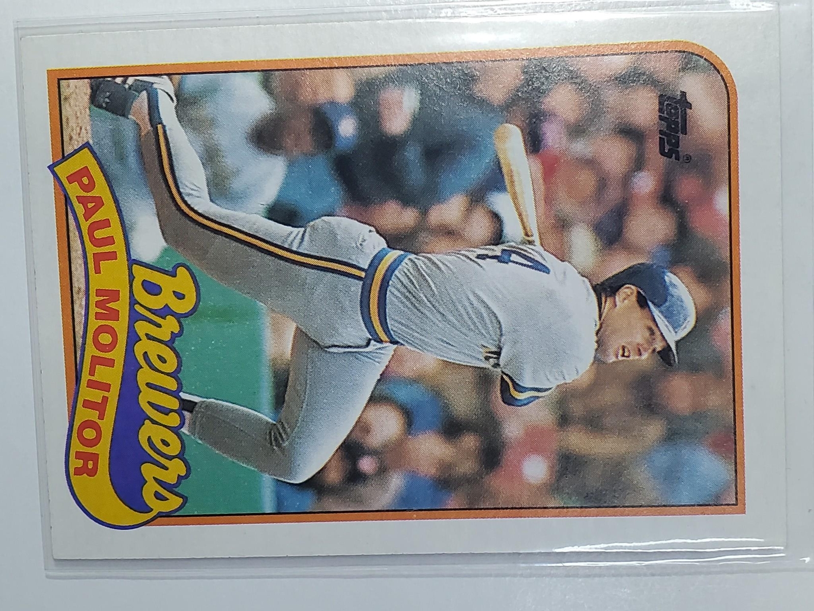 Picture 46 of 199