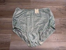 Vintage Vanity Fair Silky Nylon Granny Panty NWT 13001 Lace Brief Size 7/L Blue