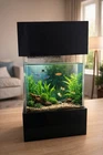 Modern Acrylic Aquarium / Fish Tank