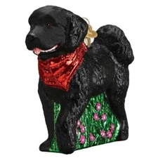 Old World Christmas BLACK DOODLE DOG (12560) Glass Ornament w/ OWC Box