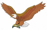 AufnäHer Patch Adler / Eagle 27 X 16 Cm