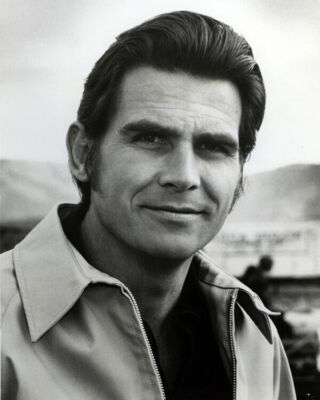 James Brolin handsome portrait 1970's Marcus Welby M.D. TV series 8x10 photo