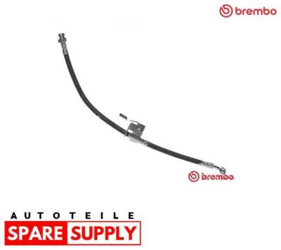 BREMSSCHLAUCH FÜR HYUNDAI CLICK BREMBO T 30 066
