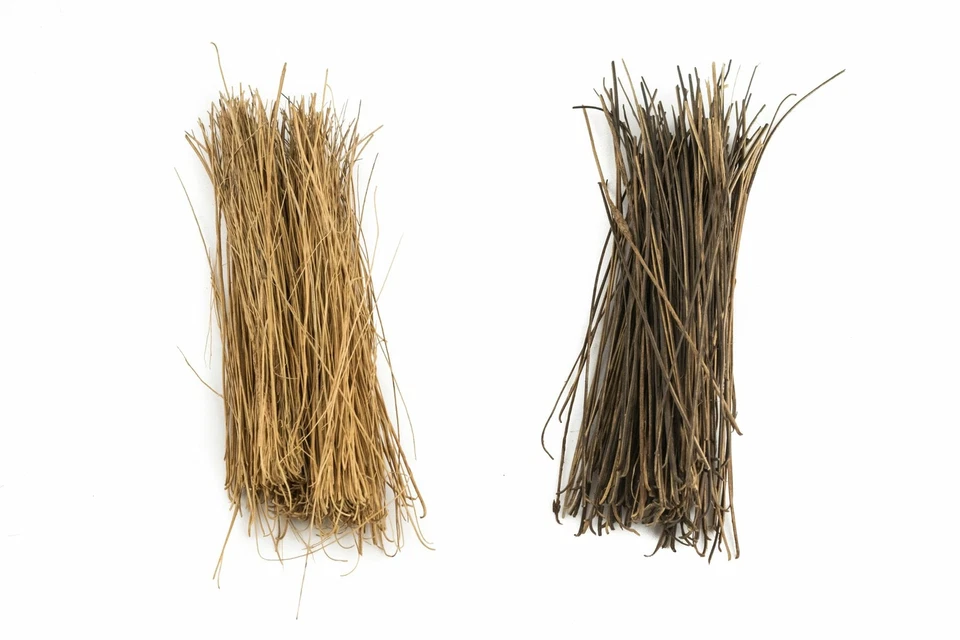 WWS Kit Juncos de pantano - Modelismo Ferroviario, Wargames, Miniaturas - Imagen 2 de 4