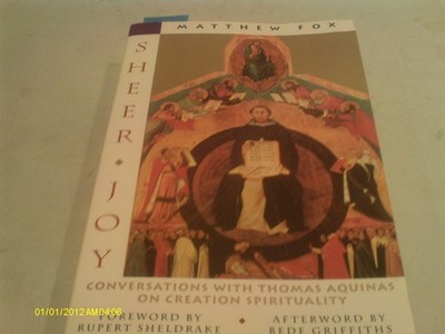 Sheer Joy : Conversations with Thomas Aquinas on Creation Spirituality - pap...