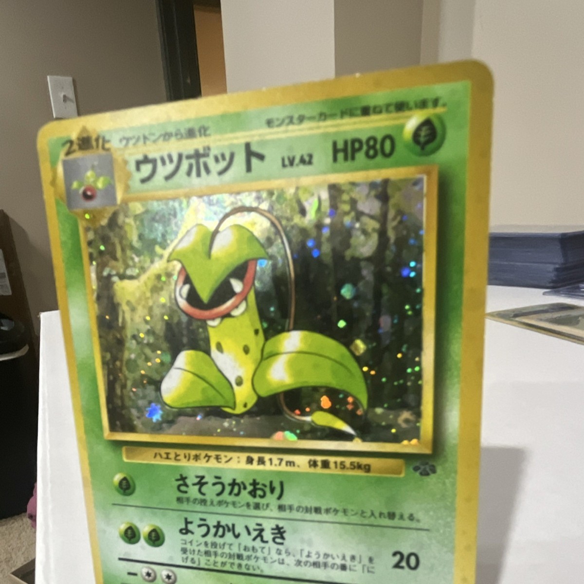 ポケモン　ウッドツリー　2004 ポケモン ウッドツリー 2004 【公式通販】