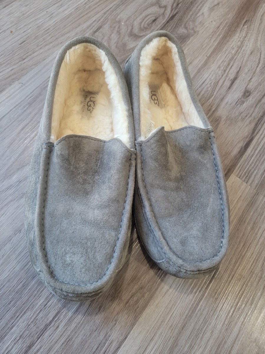 UGG Ascot Men display picture 2