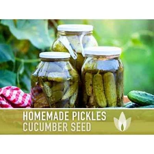 Homemade Pickles Cucumber Heirloom Seeds - Open Pollinated, Non-GMO