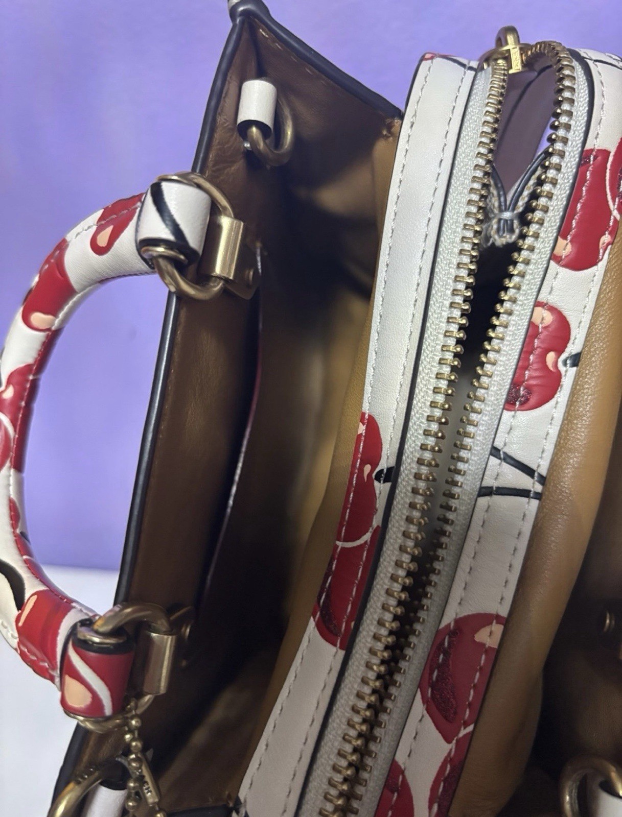 Coach Rogue 17 With Cherry Print image 8